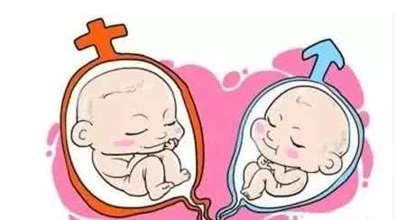 案例